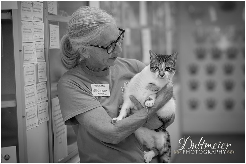  Linda Baughman, a volunteer at the shelter, holds Piper, who arrived on St. Patrick’s Day. “She is the sweetest cat in the world,” said Baughman, who has  been a volunteer for about three years. She is working extra hours right now—three mornings a 