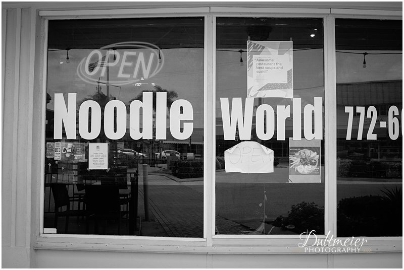 Noodle World