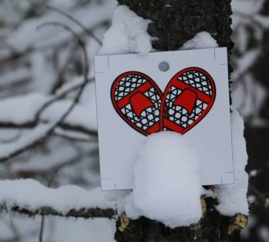 Groomer Al's Trail Report for Sunday Dec 22