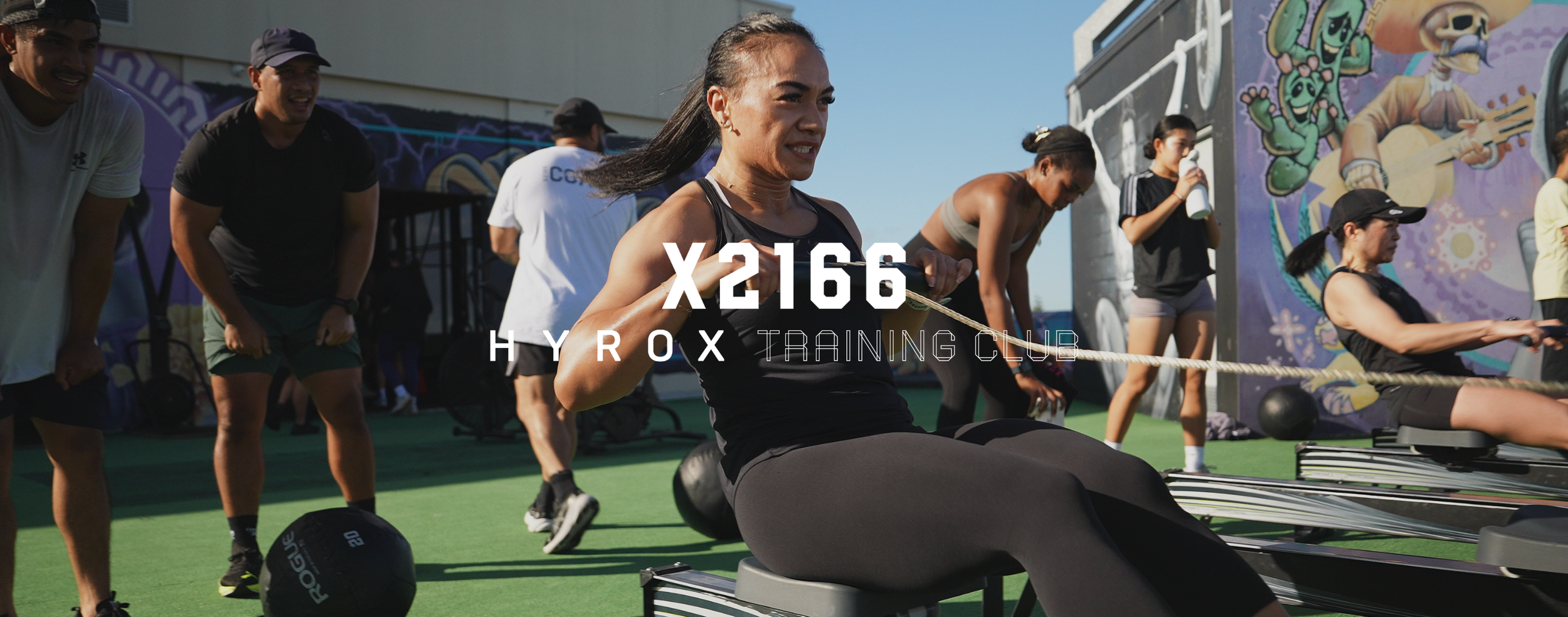 Untitled design (1).png