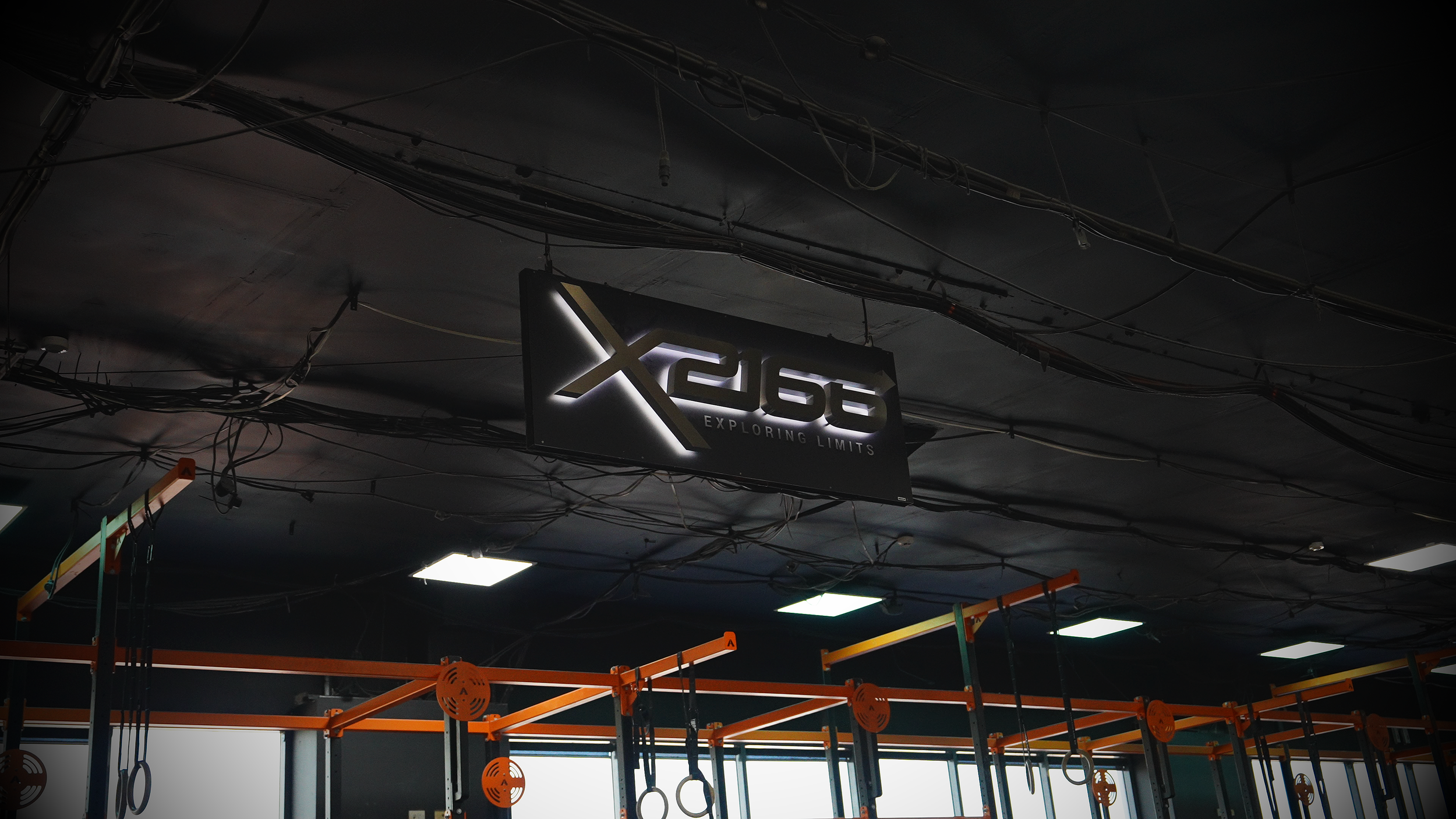 x2166 3.png