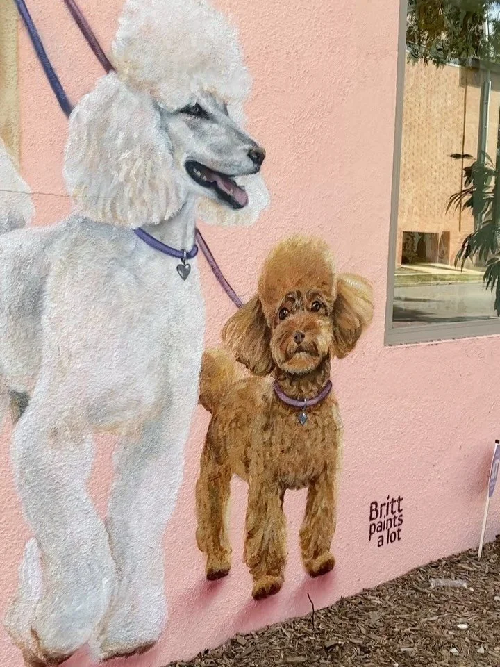 Painted a mural when I was pregnant with Elsy @lobo.atx.  Went back today for a hairdo for Charlie and showed her the mural.  Thanks Rene and @lobo.atx! Give them a follow and take ur pups!! ✨💕✨