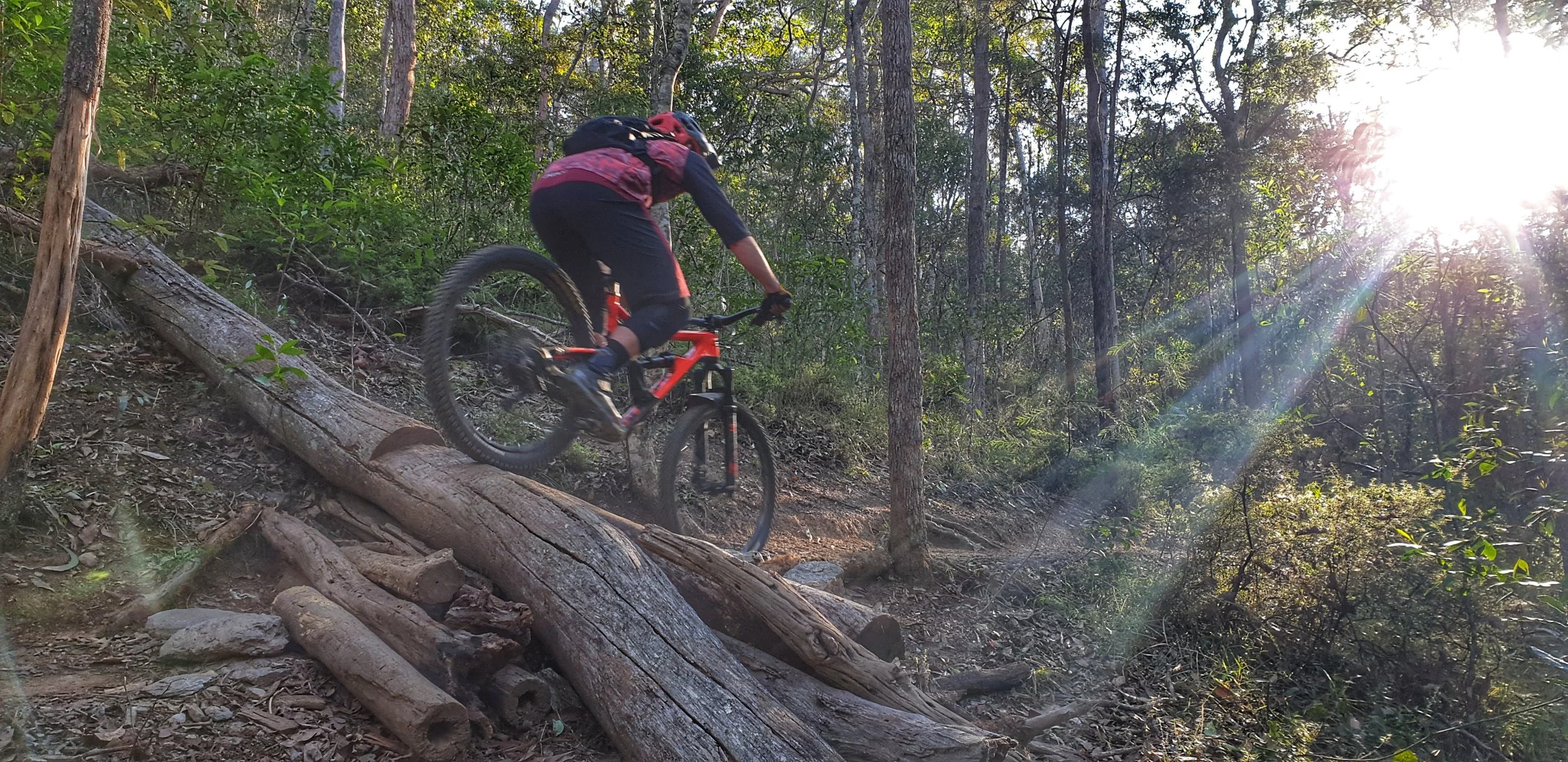 Our Vision — BORRA