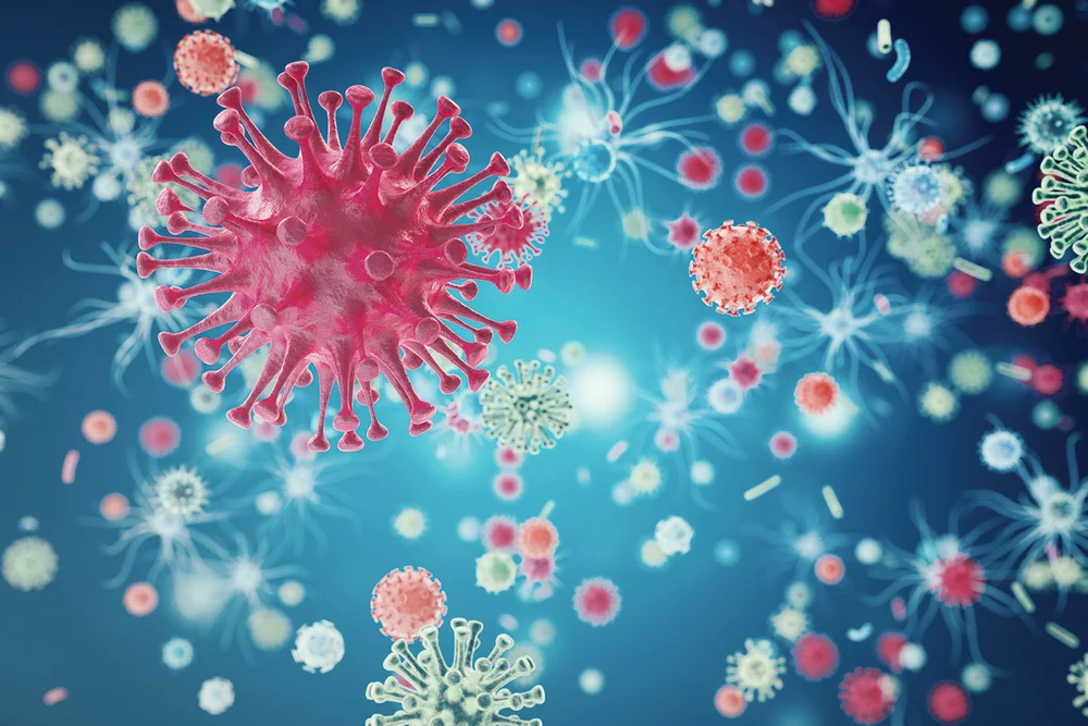 Anti-proliferative Drugs
