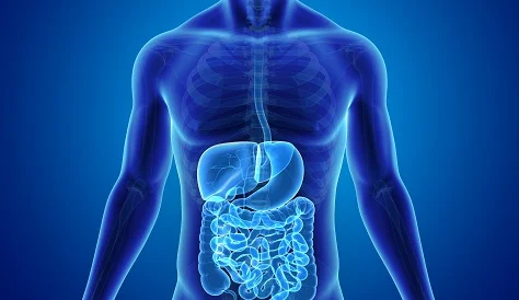 Gastroenterology Drugs