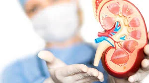 Urology Drugs