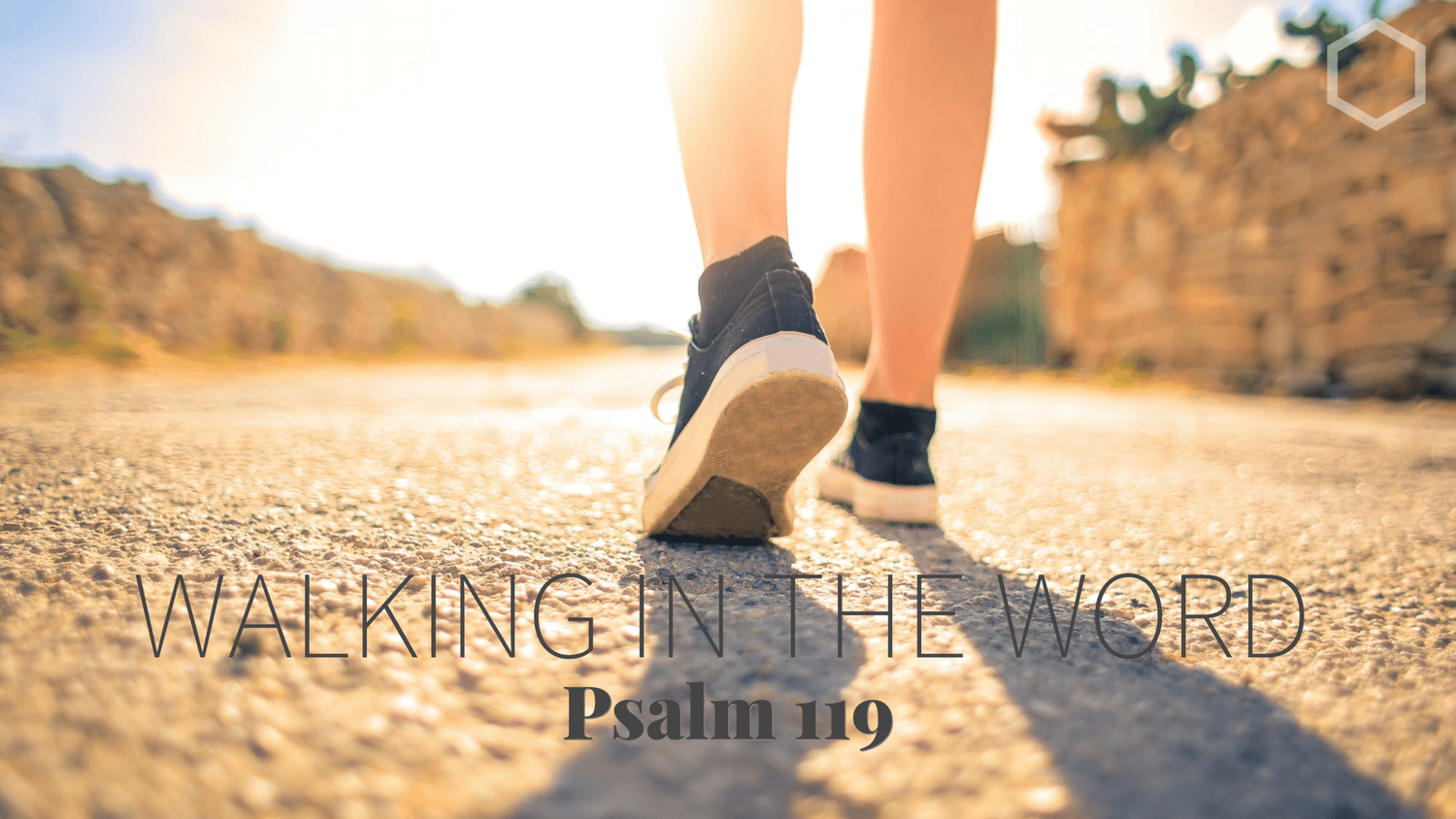 Psalm 119:17-24