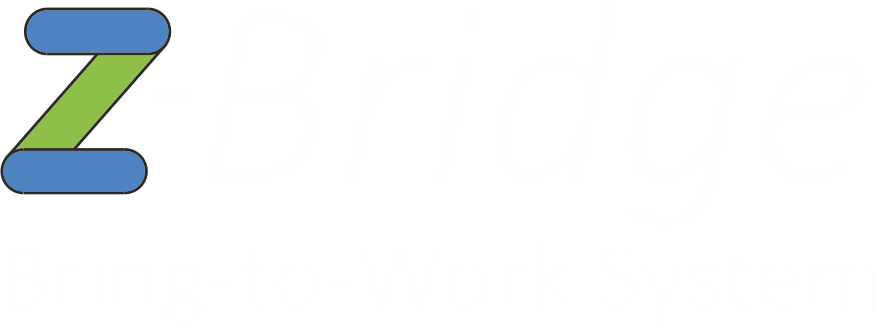 Z-Bridge Bring-to-Work system