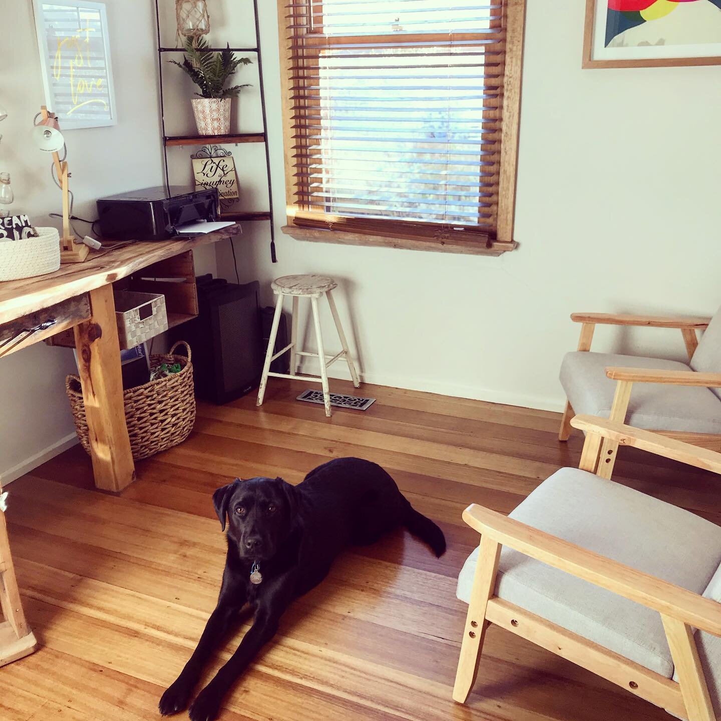 Pebbles and I are missing having couples in the home office. 

&bull;
&bull;
&bull;

#weddingvibes #weddingplanning #melbourneweddingplanning #yarravalleyweddings #melbournecelebrant #celebrant #marriagecelebrant #celebrantlife #victoriawedding #brid