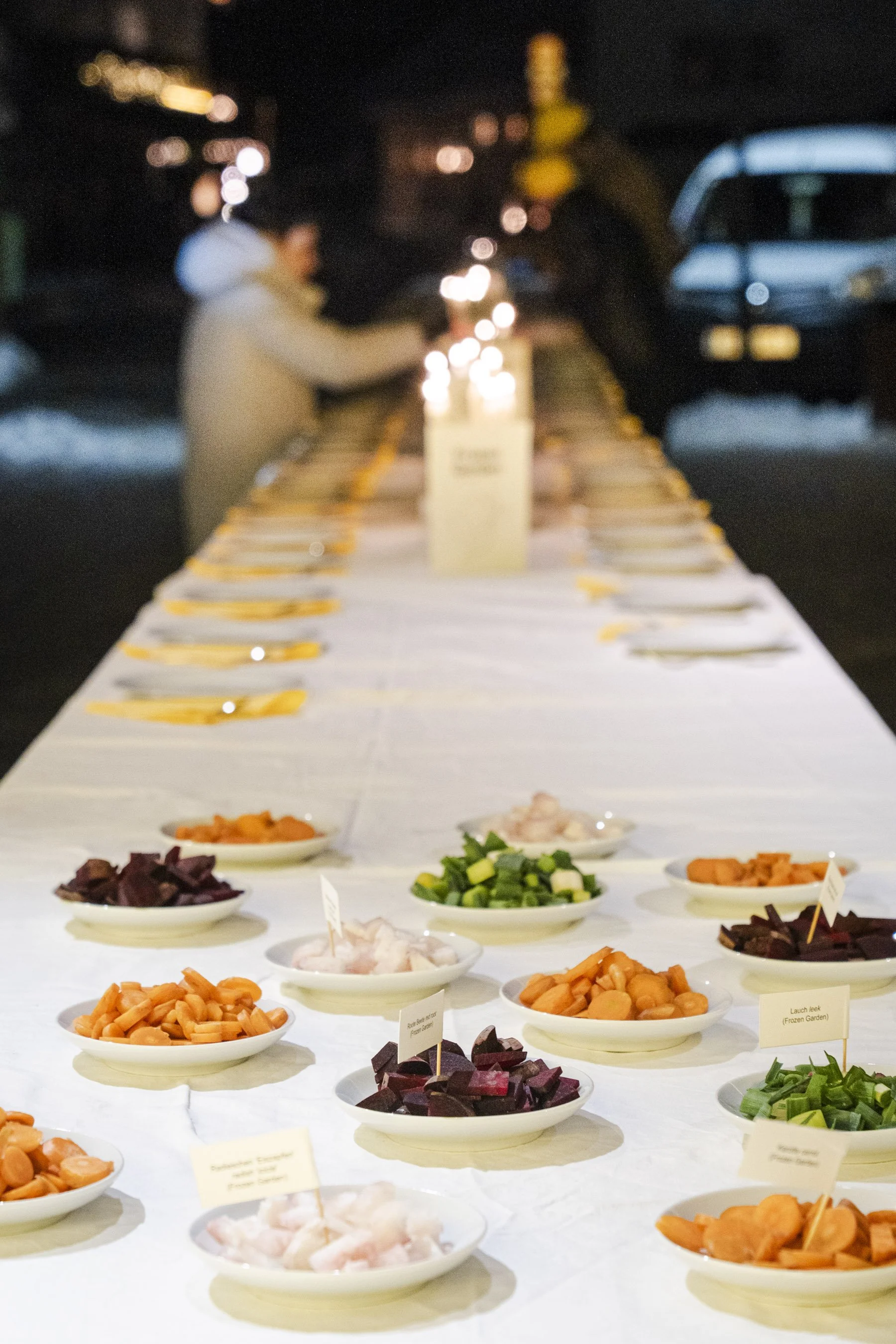 Frostgarten_halmeskobel-36.jpg