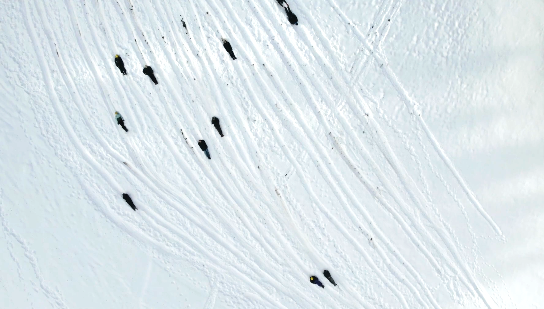 Communal Falling – Piotr Urbaniec