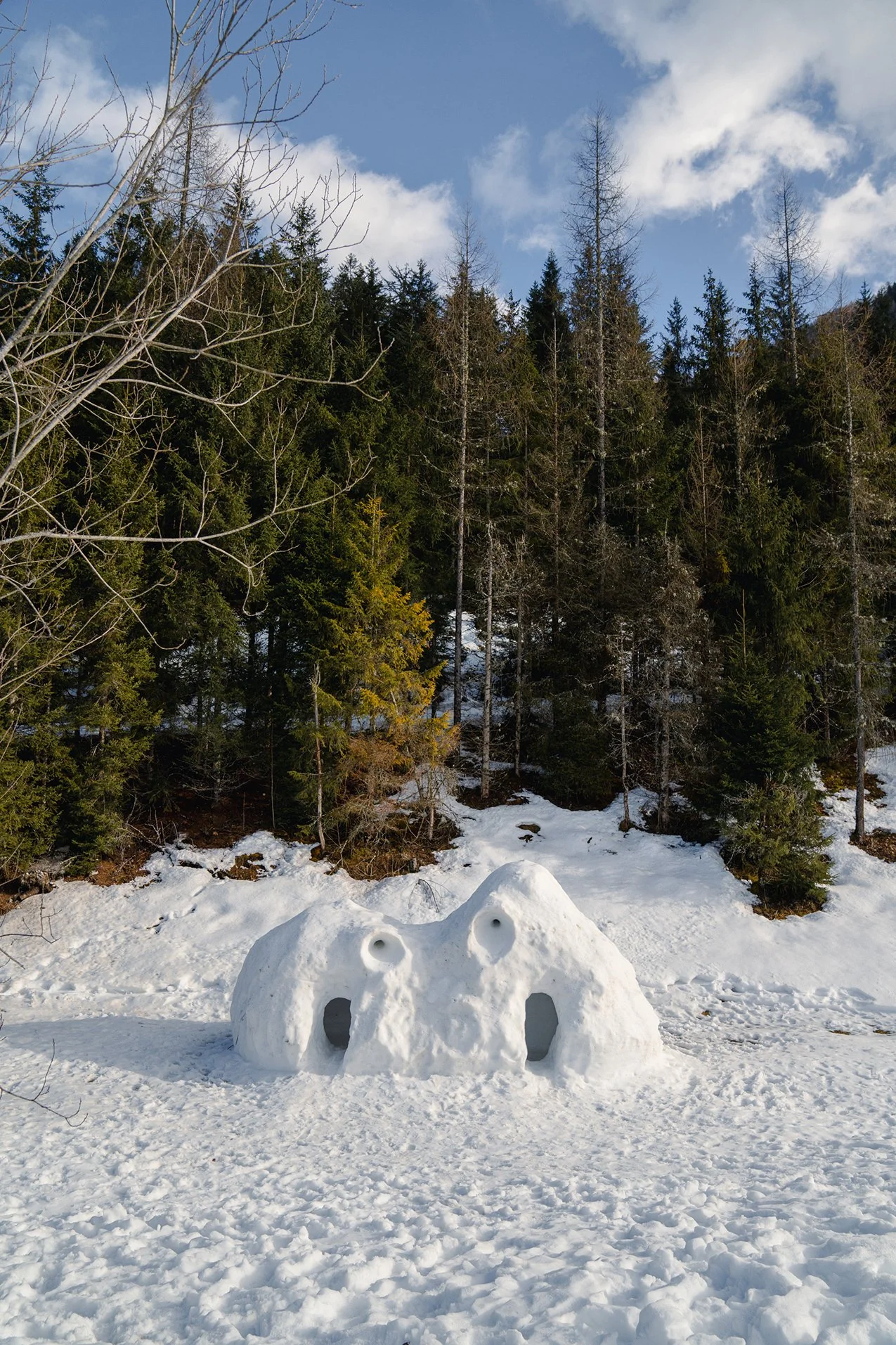 m20d24_perfect_fifth-14_©halmeskobel.jpg
