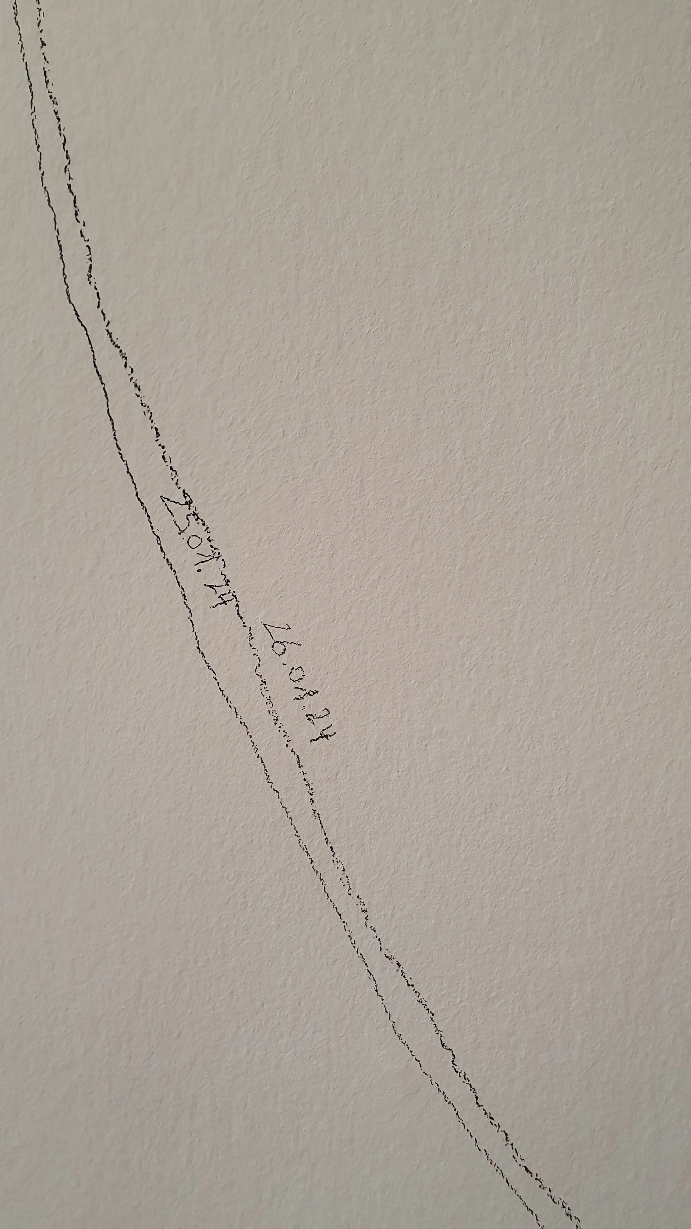20240127_114928.jpg