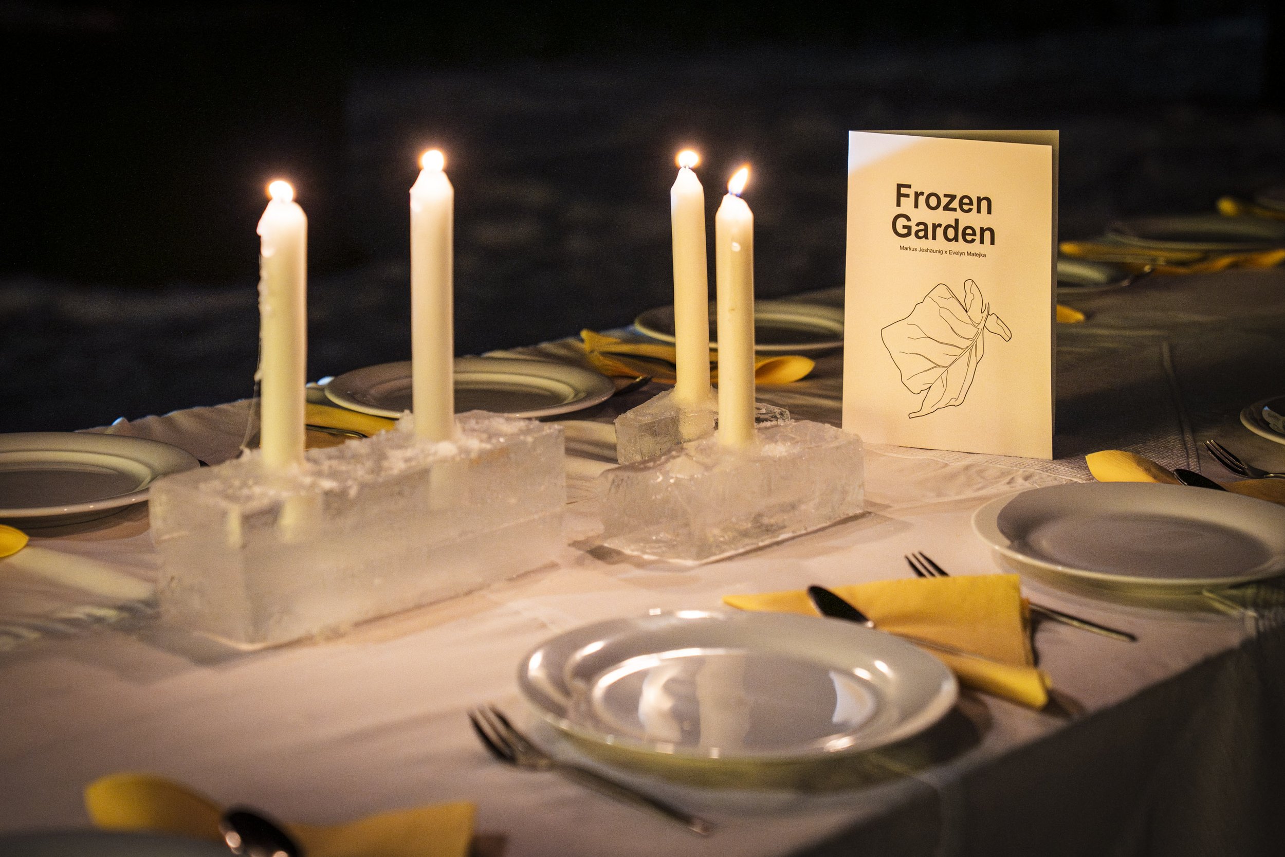 Frostgarten_halmeskobel-37.jpg