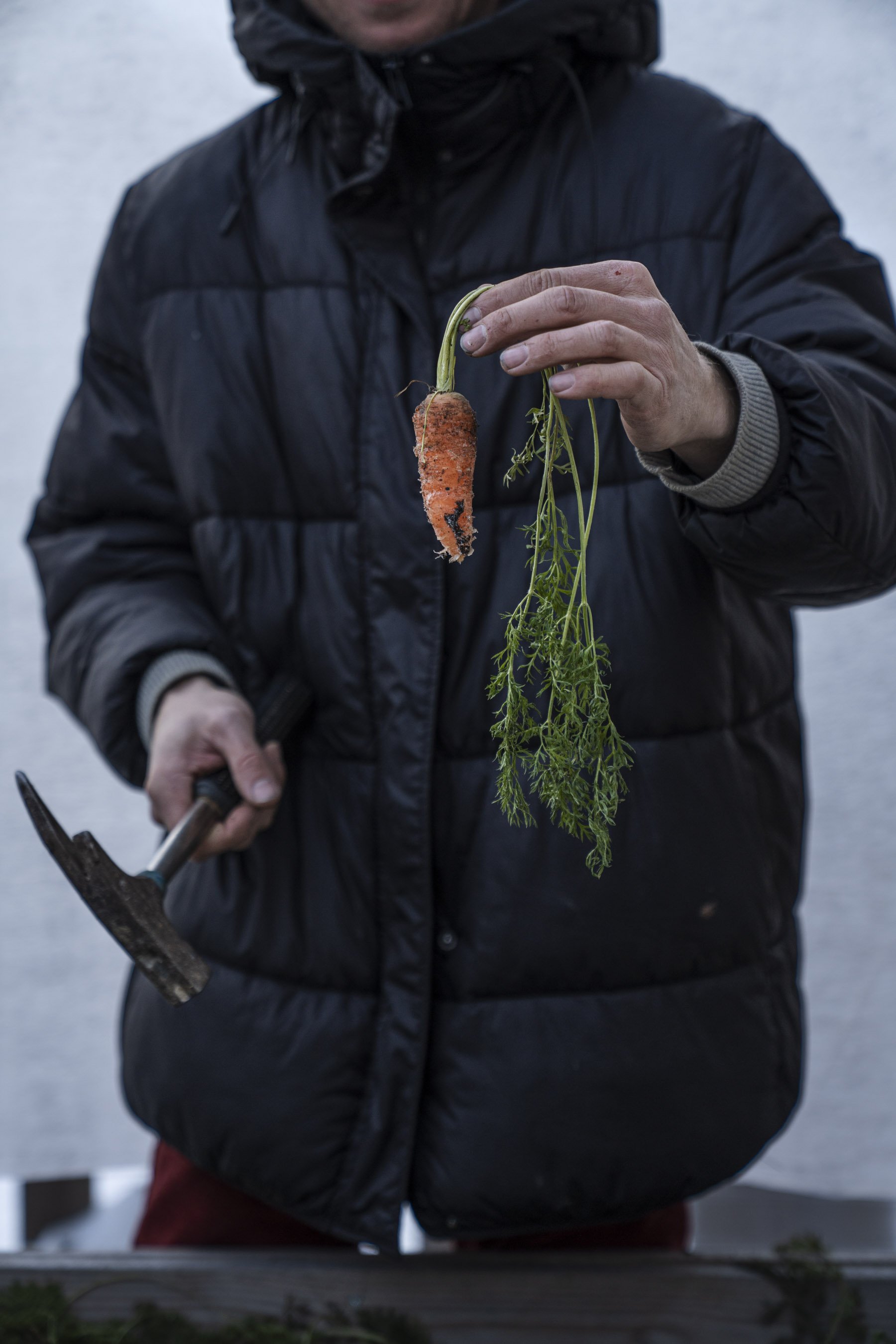 Frostgarten_halmeskobel-6.jpg