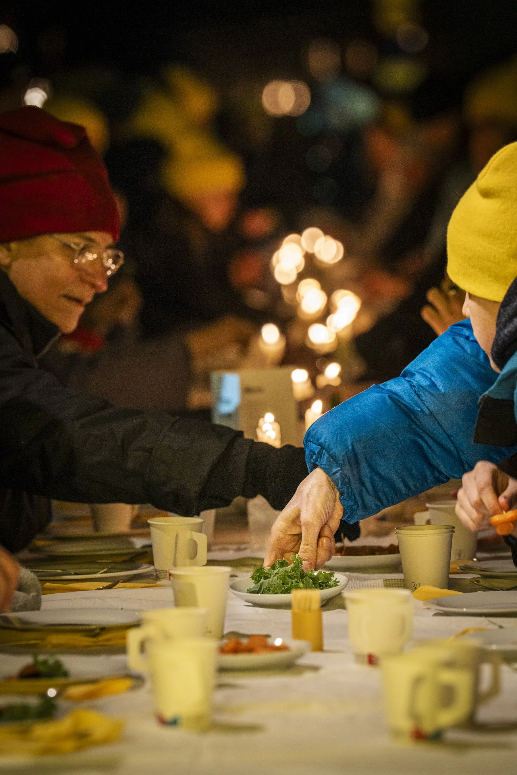 Frostgarten_halmeskobel-44.jpg