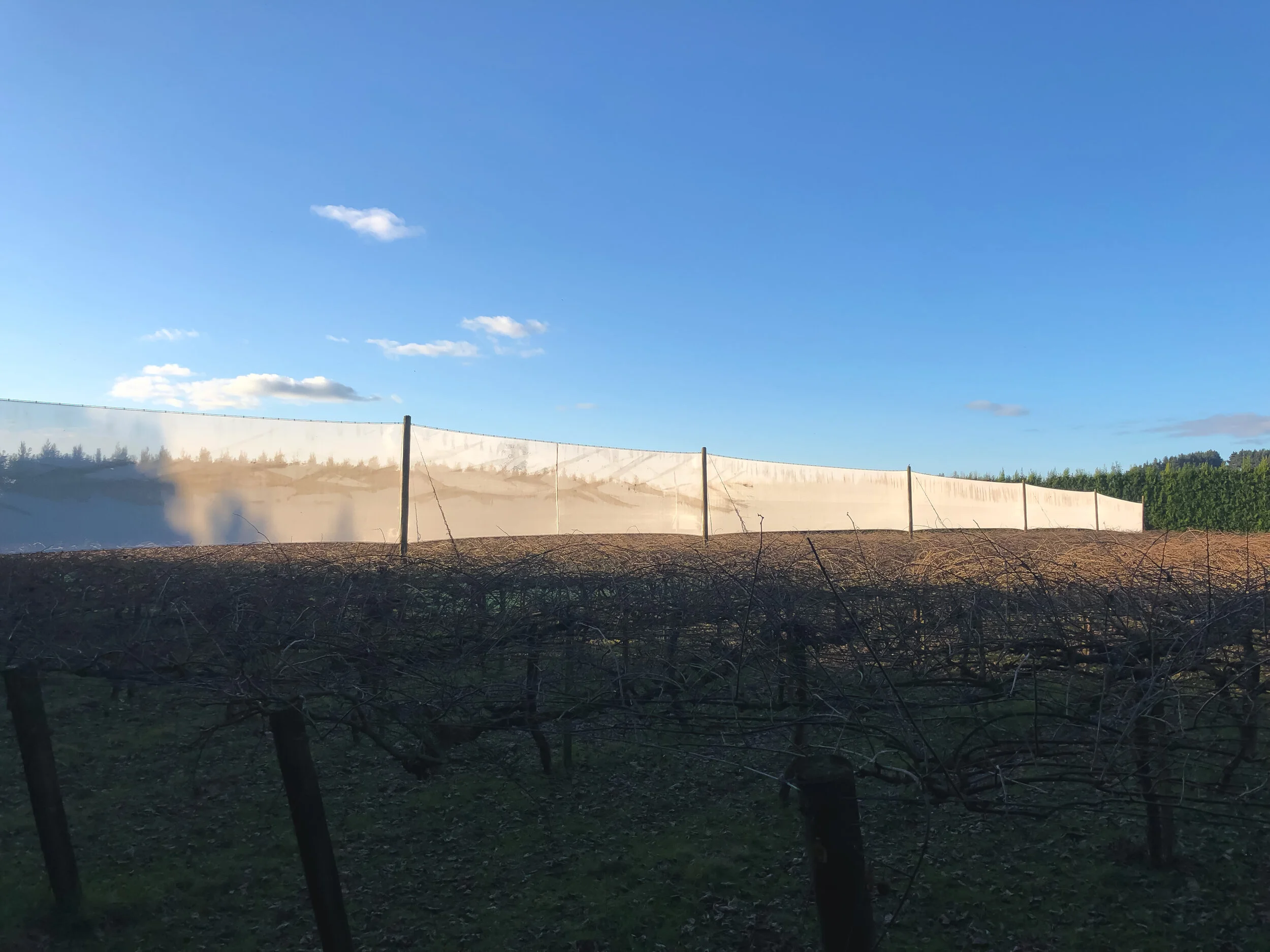 Growtech Orchard Protection and Orchard Development Services New Zealand-43.jpg