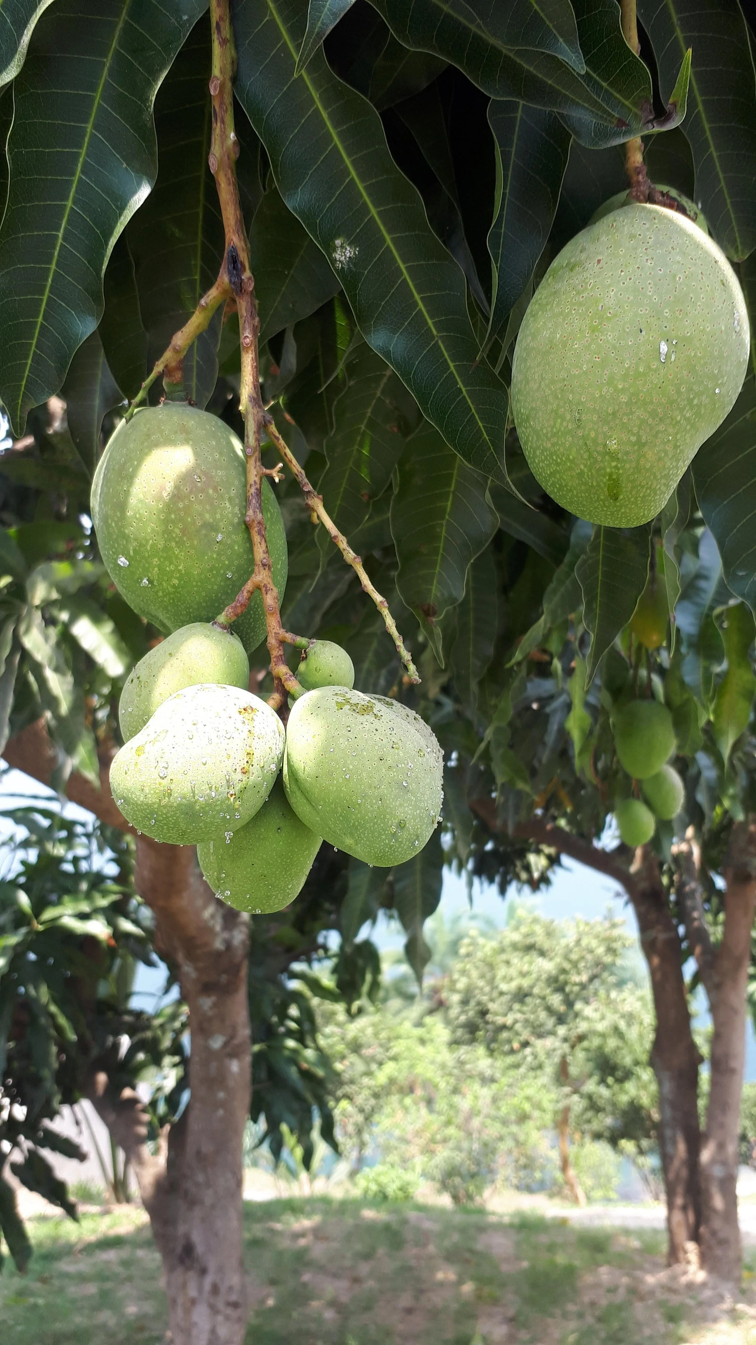 Gallery — Inn on the Lake