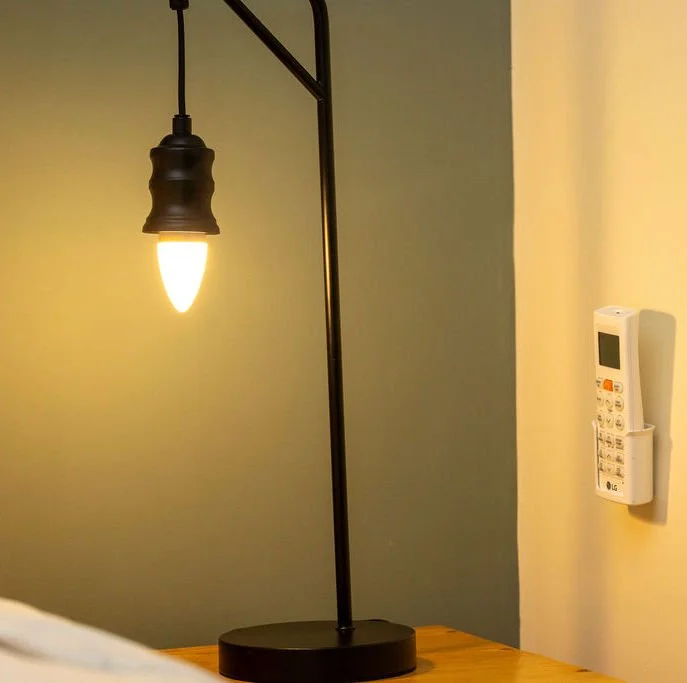 inn-on-the-lake-bedroom-ac-controller.JPG