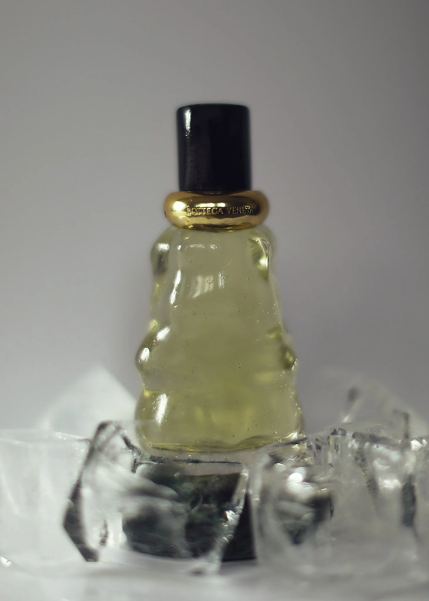 Bottega-Veneta-ProductStill 1.jpg