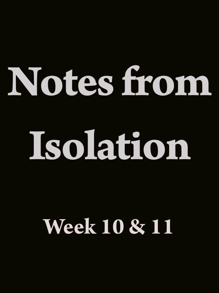 Notes from Isolation Week 10 &amp; 11