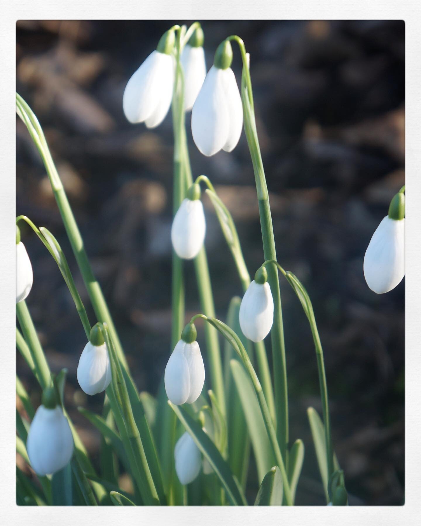 Back from my extended Christmas holidays with the latest newsletter from The Zest. Hoping to perk up your inboxes in these continually dull times. If you haven&rsquo;t already and fancy reading the next instalment, sign up on my website through link 