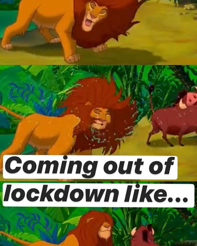 @katiereesy laughing at my long hair 😂😂 just made out first meme lol 
#lockdown #lionking #hair #simba #timon #pumba #hakunamatata