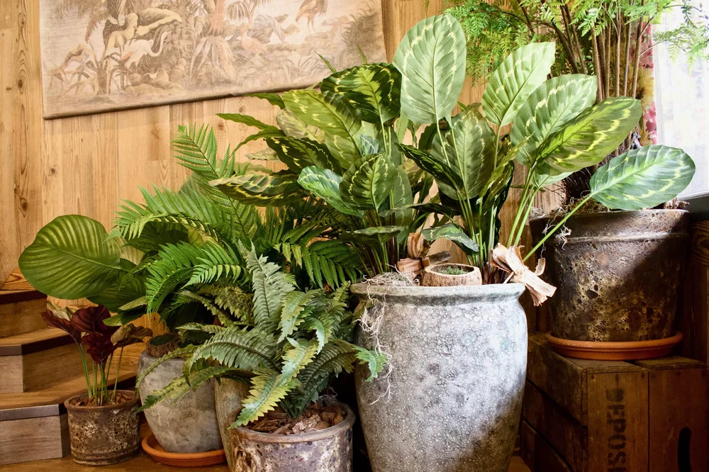Realistic Artificial Plants & Faux Indoor Plants for Home London