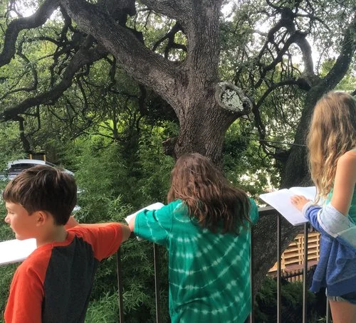 Scientific Inquiry Soars to New Heights