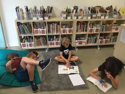 Launching Into Information Text