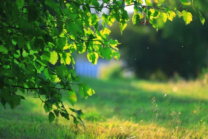 Park and Lunchtime at Long-View