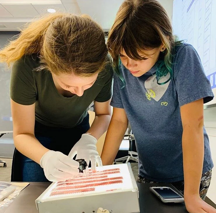 Jade Band Learners Create Documentaries