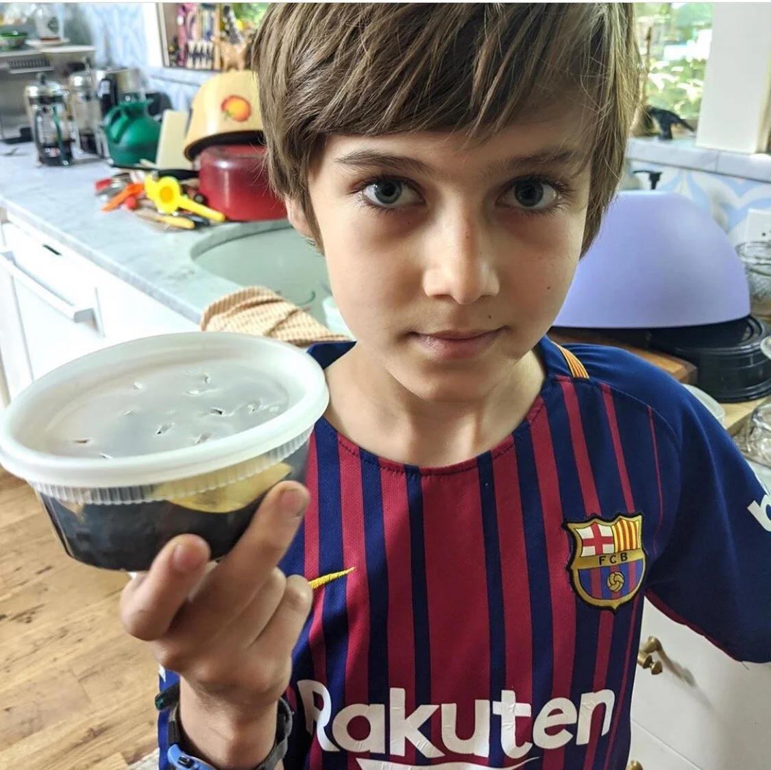 The Backyard Ecology Content Stream Continues to Deepen