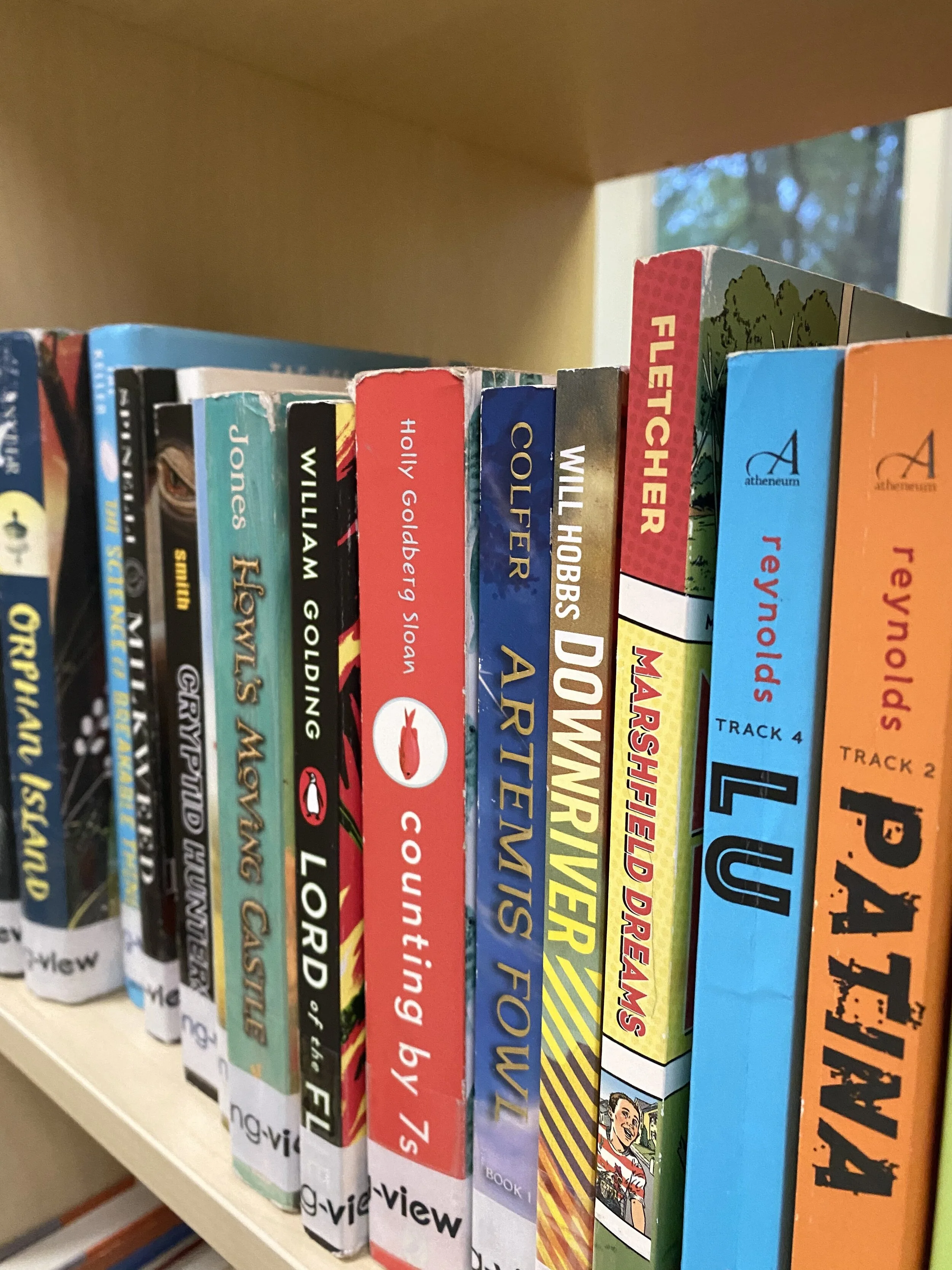 "What Texts Were Taught in This Course?":  What, How, and Why Middle-Schoolers Read at Long-View