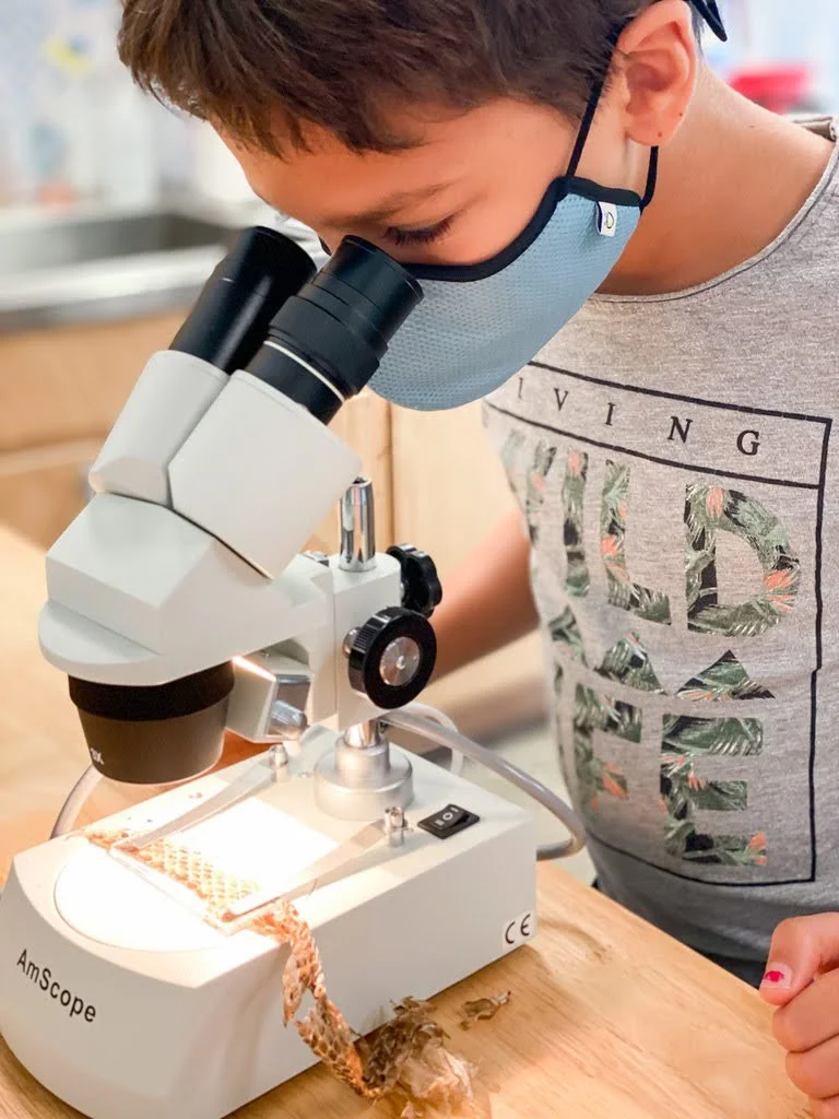 From Concept to Process: Teaching the Nature of Science&nbsp;