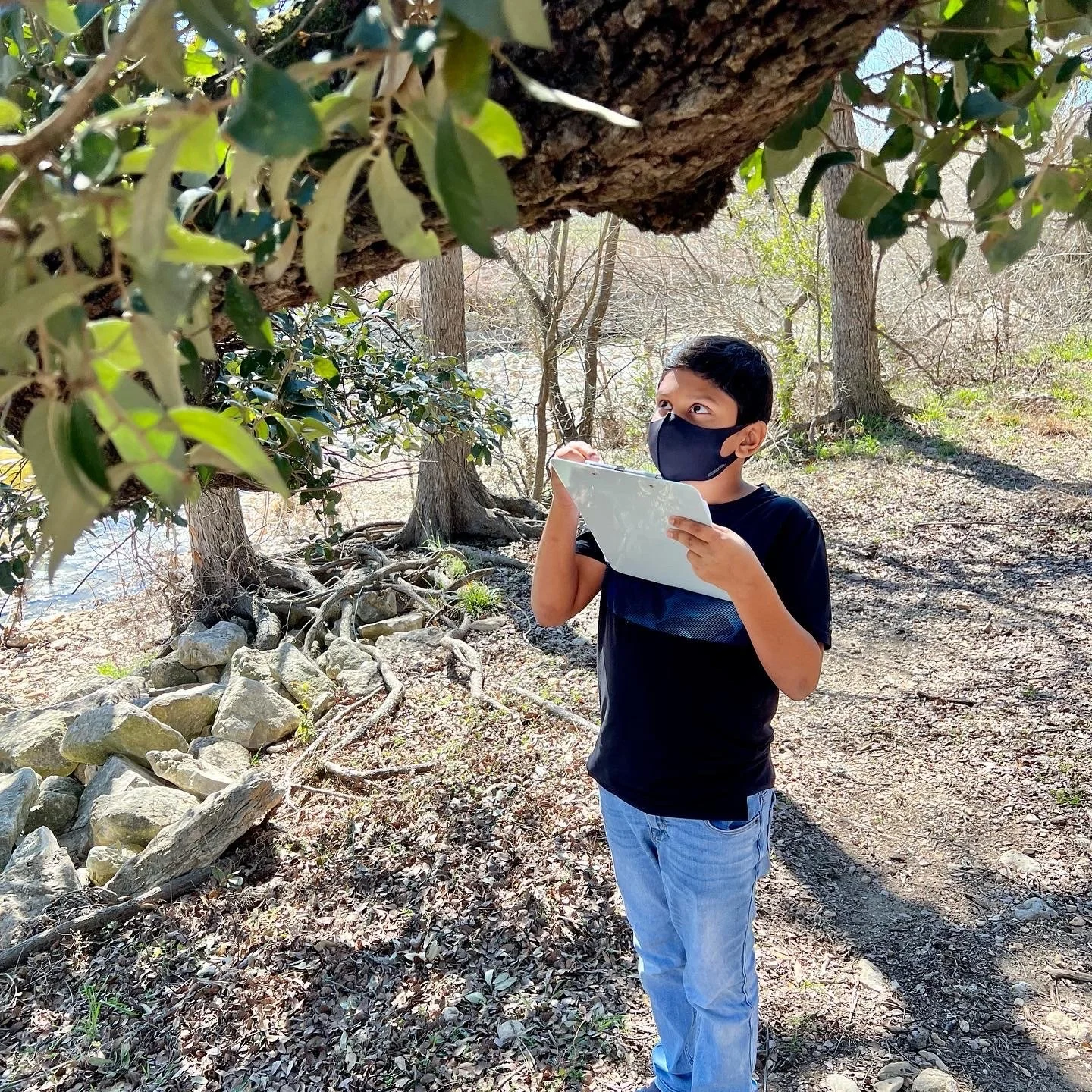 Awakening to Climate Change: A School-Wide Inquiry