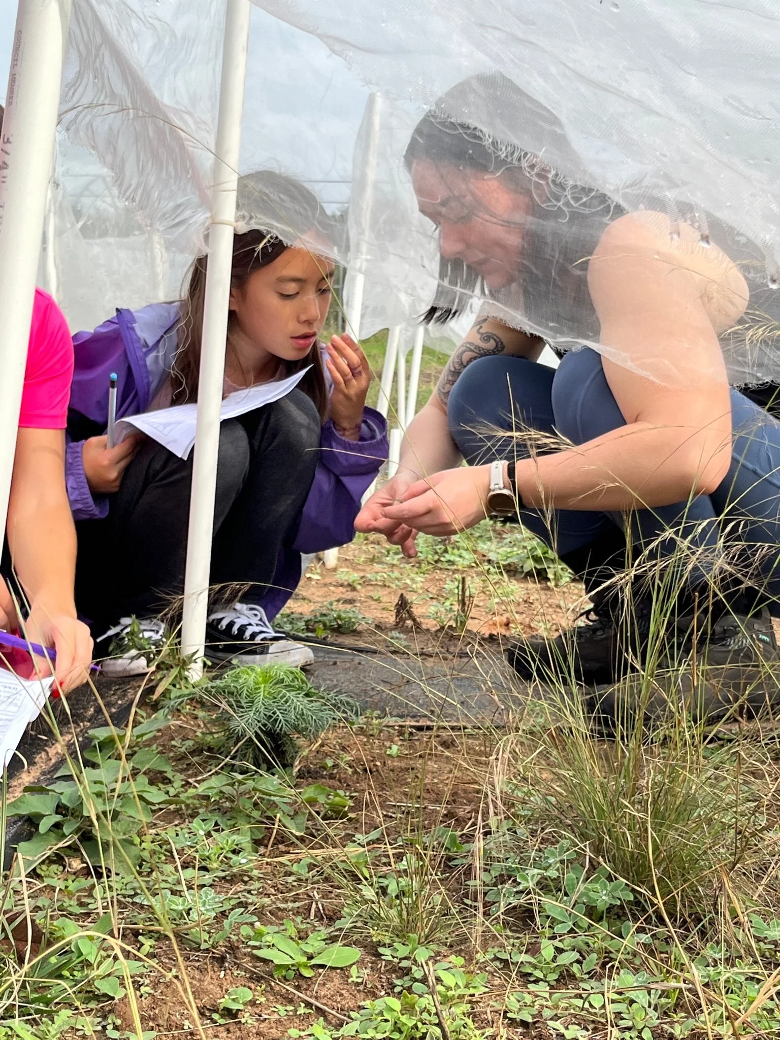 Build Week 14: Get The Green Flag