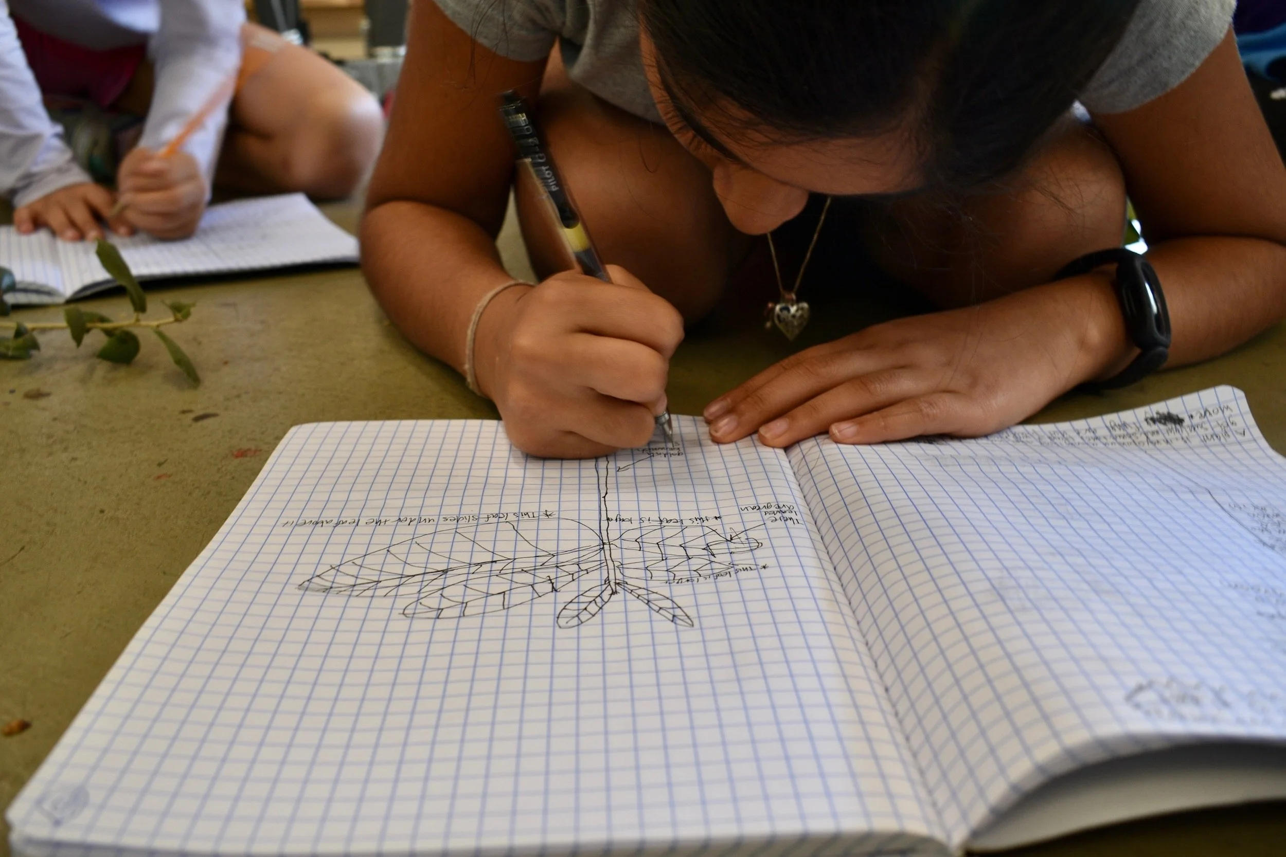 science_notebook_closeup.jpeg