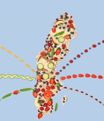 Nu släpps Insikter #11: Tillväxt!