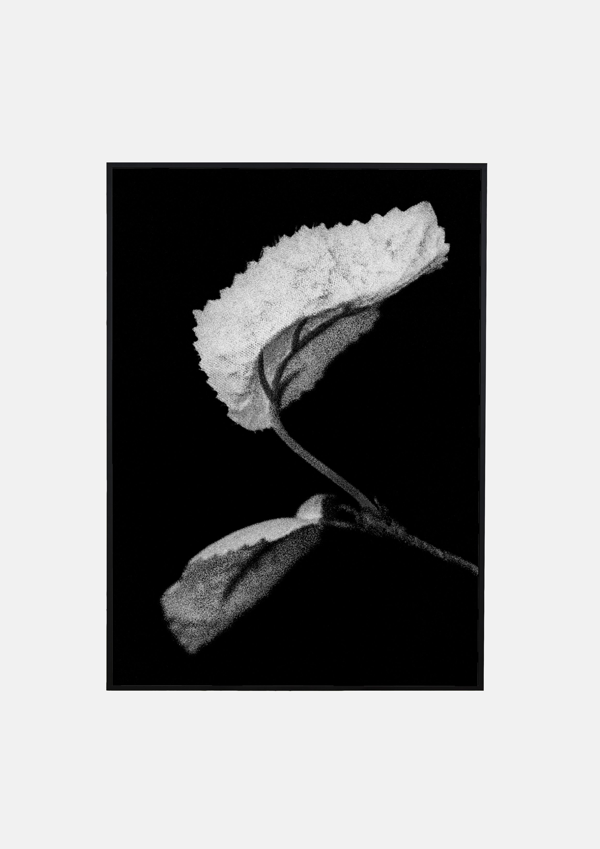 ROMANCE PRINT