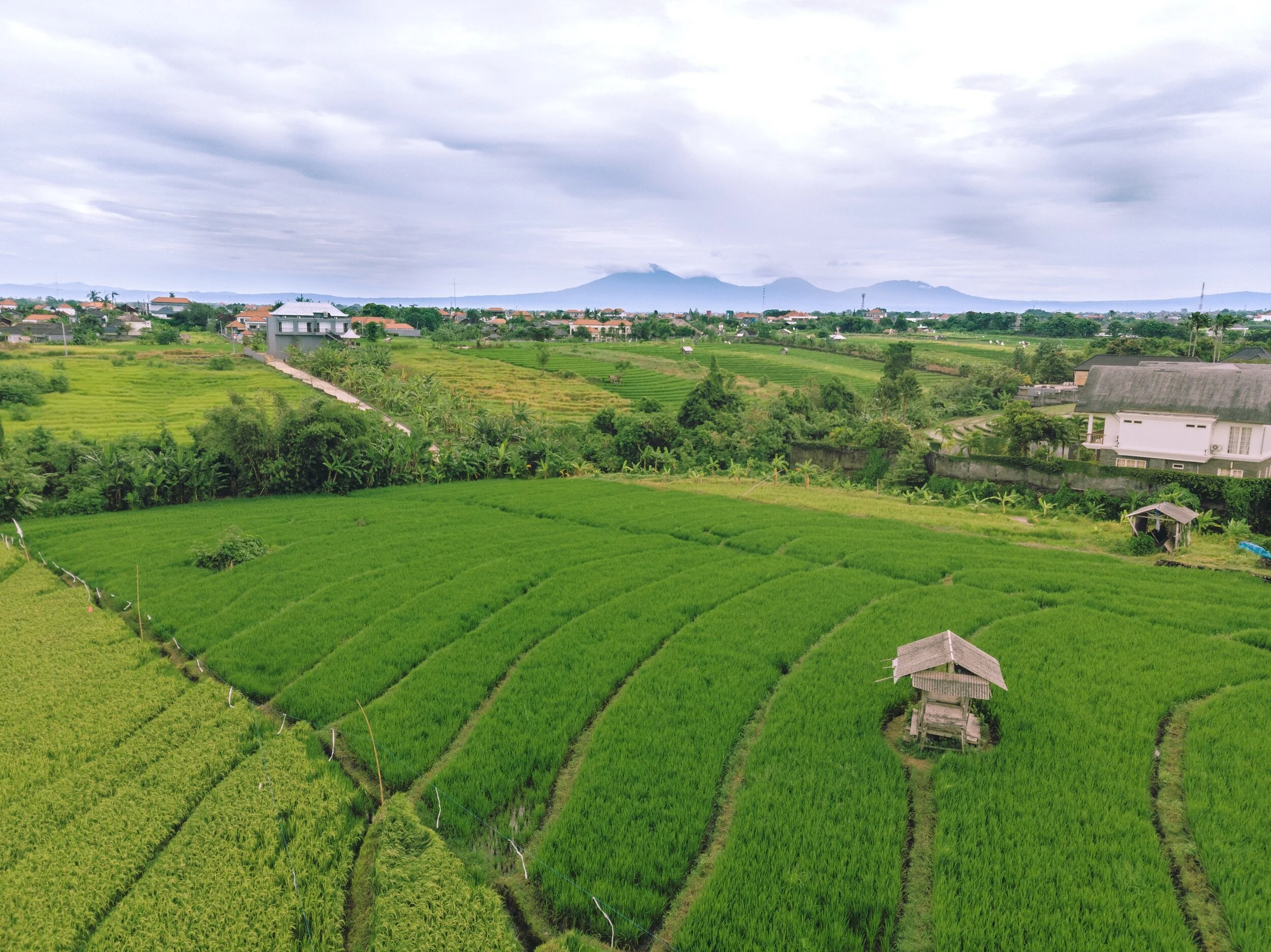 DJI_0250.jpg