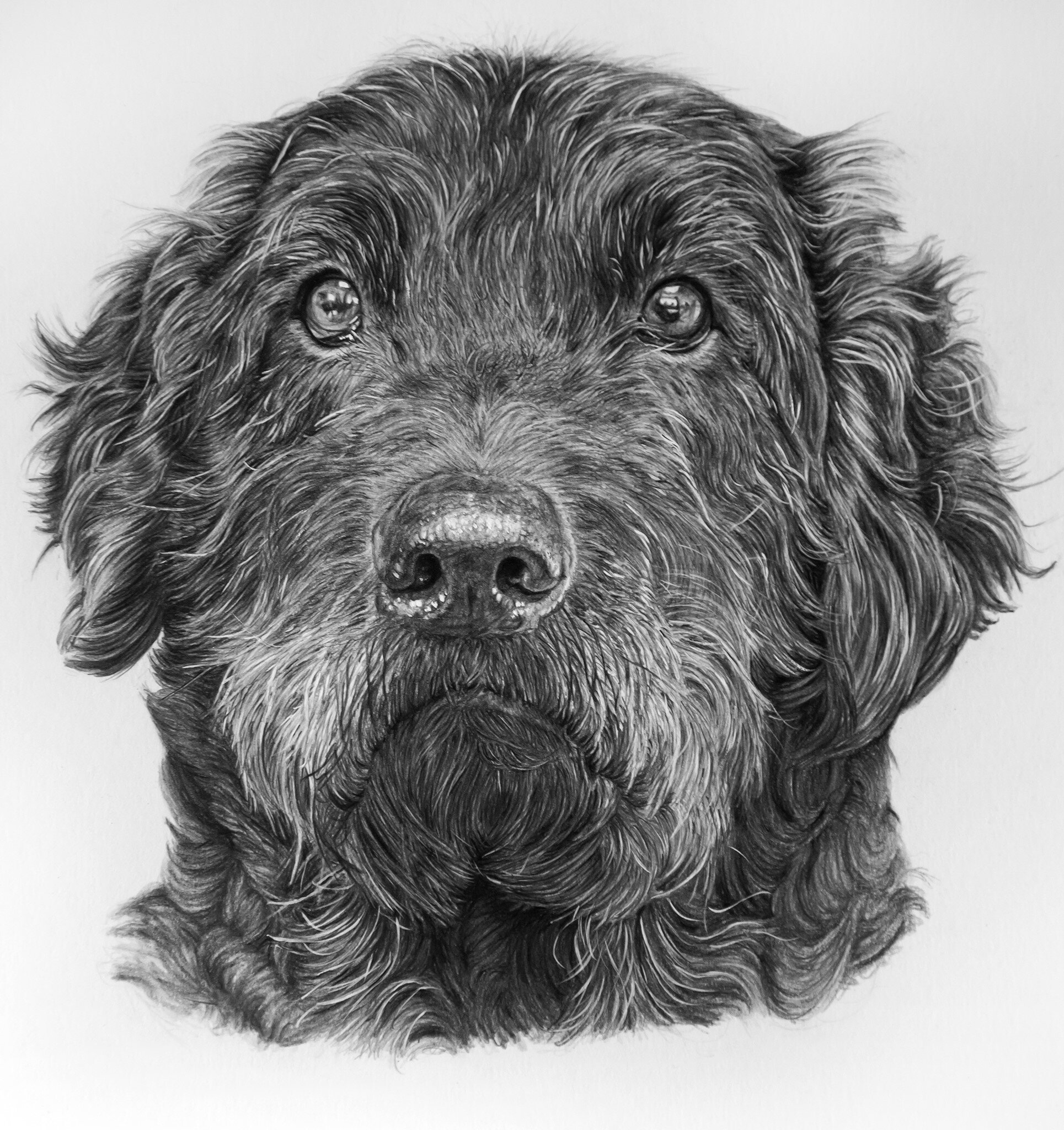 Dexter Swindells by Alan E Farrell.jpg