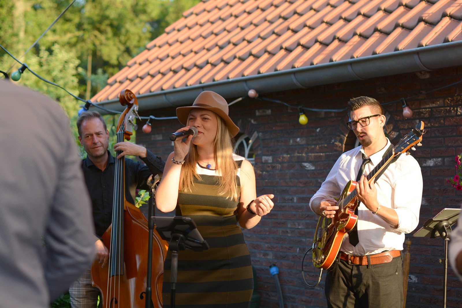 akoestisch-trio-Live.jpg