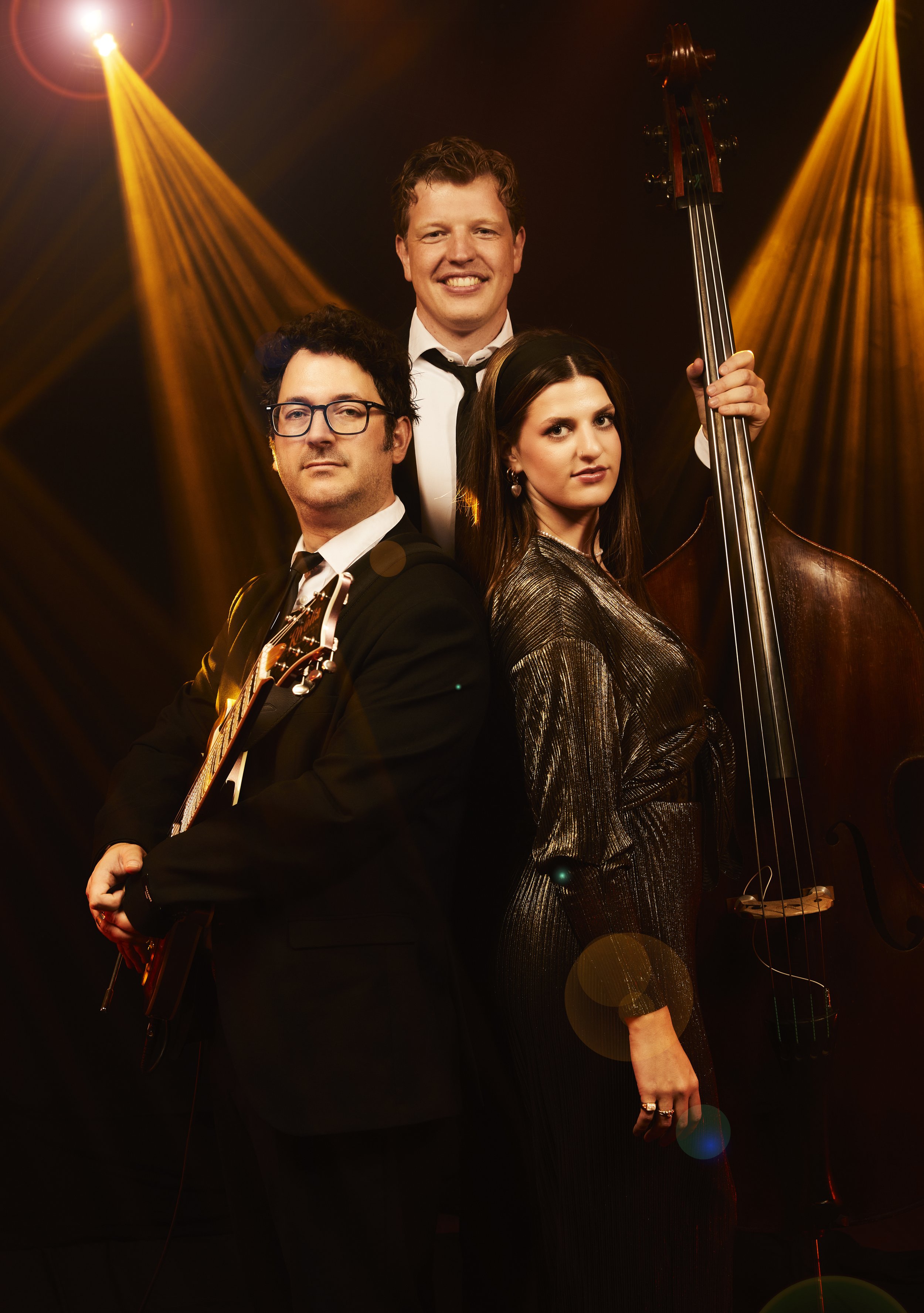 Gold-trio-zang-akoestische-band-gitaar-contrabas.jpg