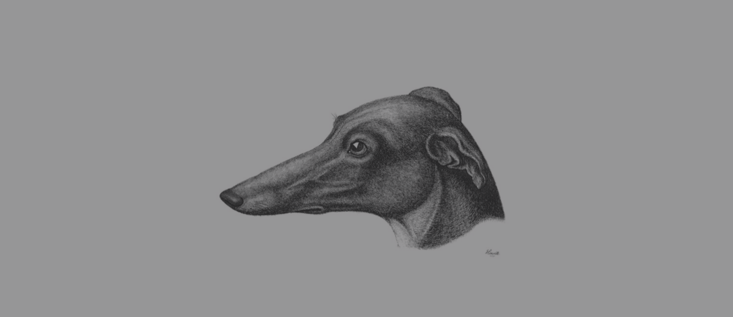 Copy of Untitled (5).png