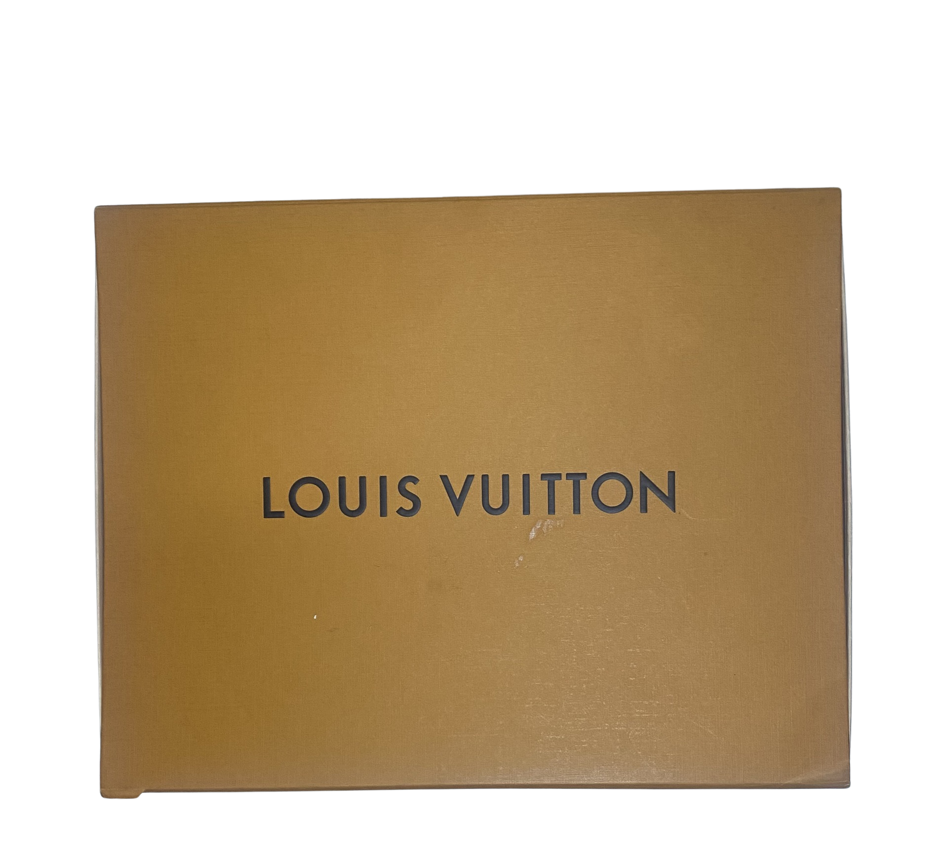 Louis Vuitton FW22 Women's 'Pillow Ankle Comfort' Boot (2022) — The Pop-Up📍