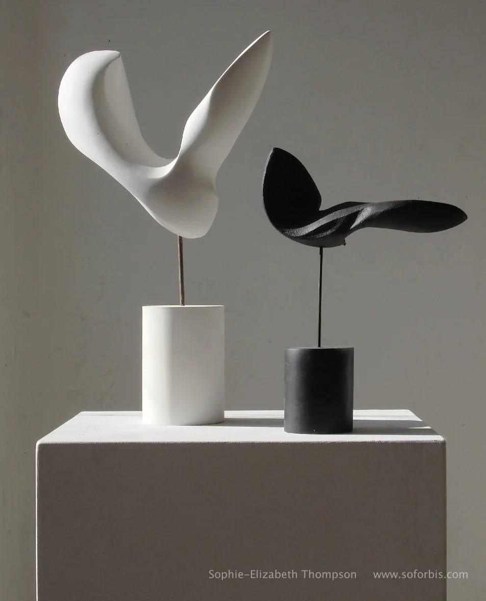 Blanco_J_Negro_I_feb14_JPG.jpg