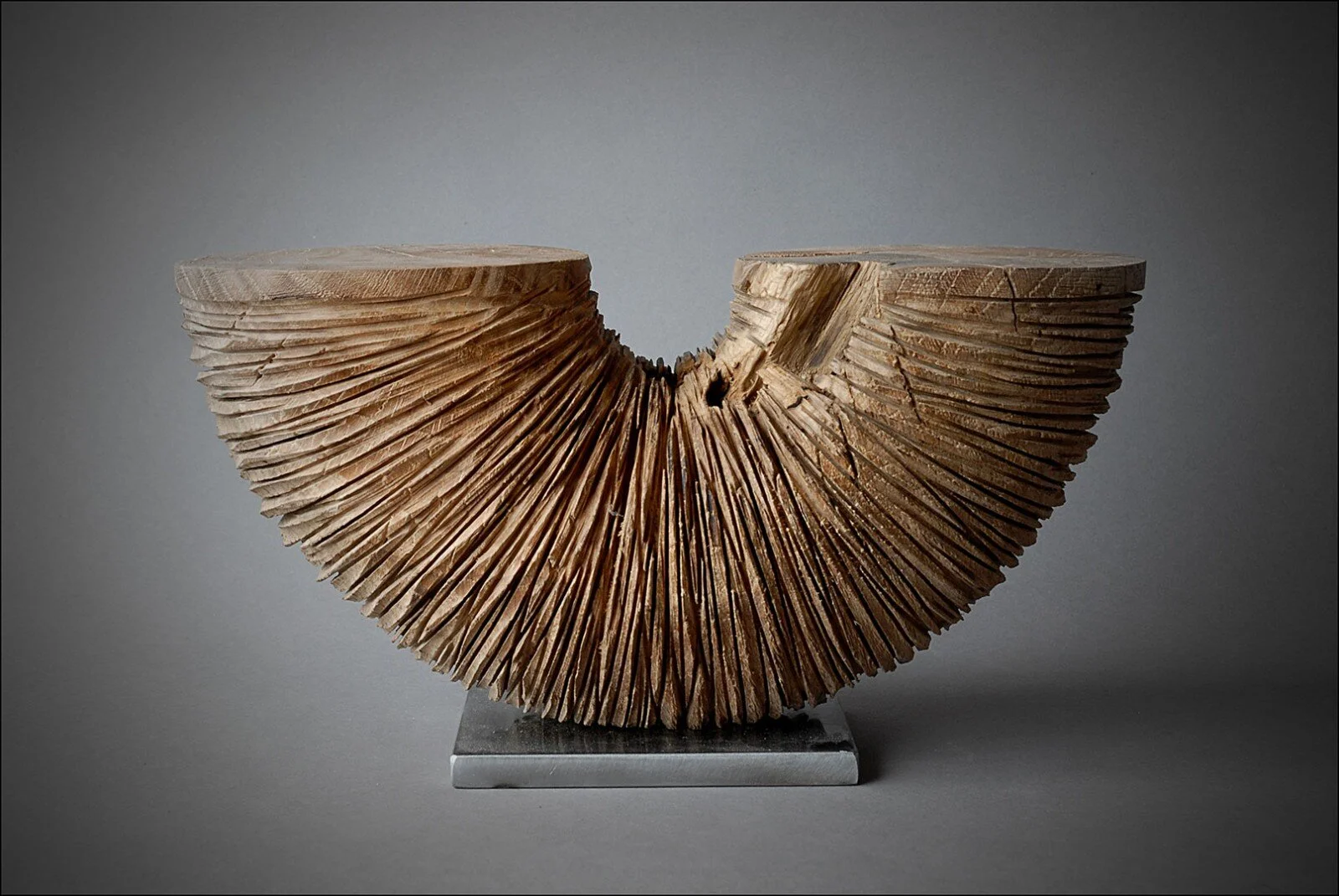 Coude, 30 cm