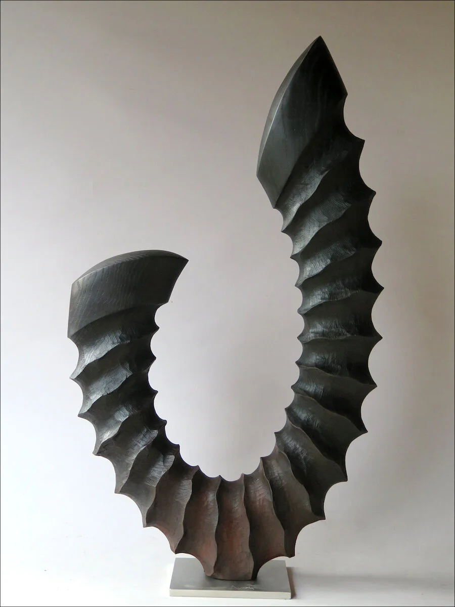Black spring, 75 x 43 x 8 cm