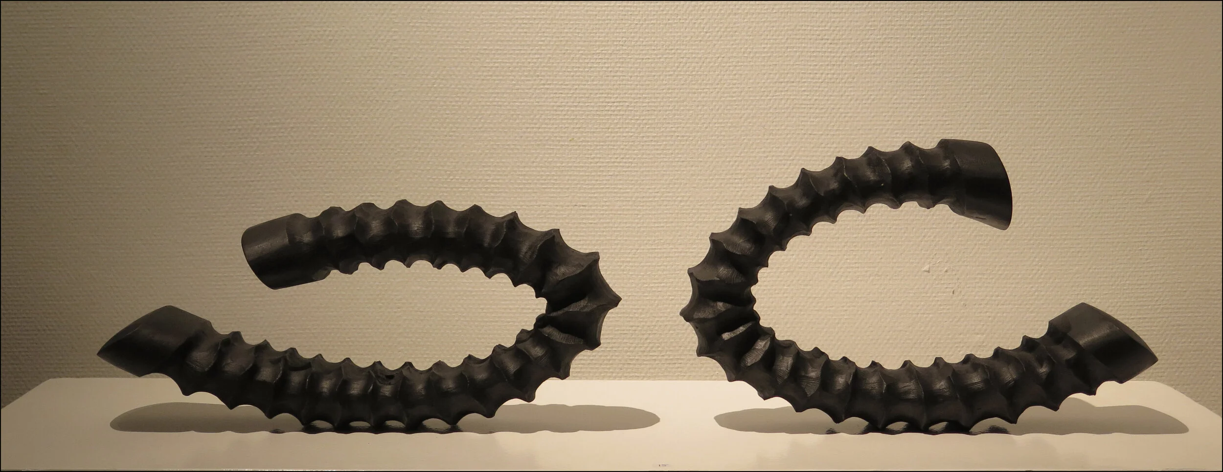 Black Springs, 45 - 50 cm 